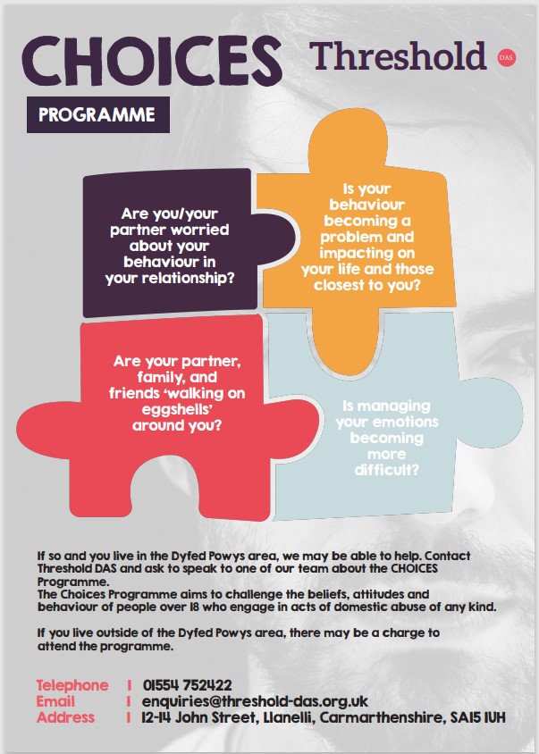 CHOICES perpetrator programme